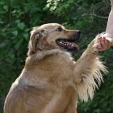 buster_2579