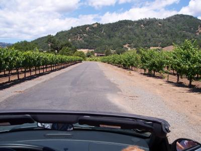 the entrance to Sausal Winery