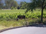 Mumm. I think they make sparkling wine, or something. ;)