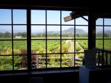 Looking out the window at Mill Creek, we suddenly realised it was desperately time for lunch again.