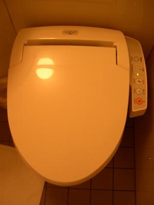Japanese Toilet Seat with Special Features
