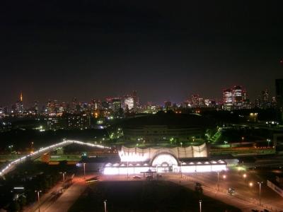 Night View of Tokyo, Tokyo, Japan