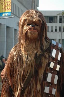 Best Wookie costume, ever.