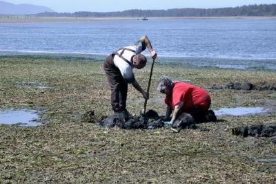 Clam Digging