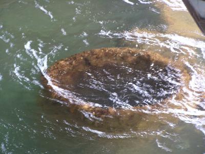 USS Arizona