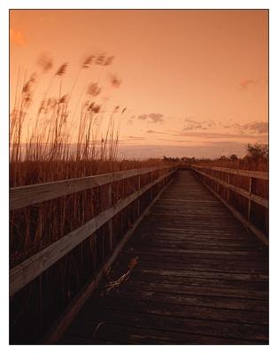 Natures Walk