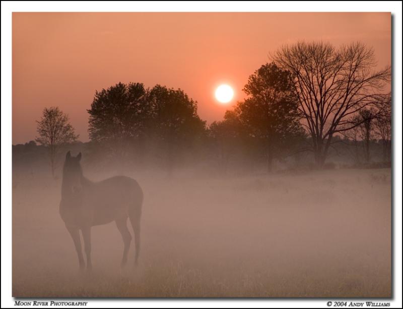 <b>6th</b><br><b>the opening of a new day</b> <br> <font size=1> by andy</font></p>