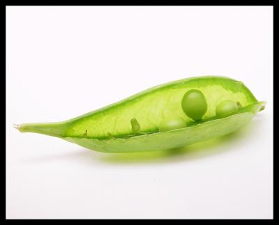 8th (tie) Open Pea Pod*By Mike Ezell