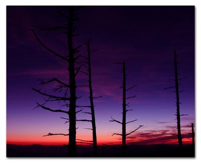 Sunset at Clingman's Domeby Mike Ezell
