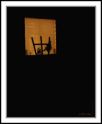 Misterious Windowby LanceD
