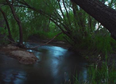 The Creek at Last Light