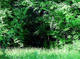 Inviting*<br> by Deb
