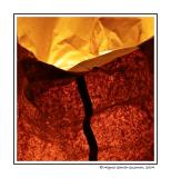 The Bag* by Miguel Garcia-Guzman
