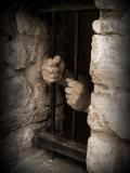 <b>8th (tie)</b><br>Prisoner...looking for an opening.<br> by Lou Gonzalez