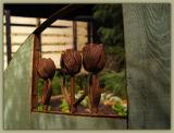vegetable garden gate<br>by Michael Puff