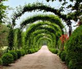<b>10th (tie)</b><br>Down The Garden Path</B><br><font size=2> by Harry Behret
