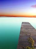 <b>10th (tie)</b><br>Into Our Depths