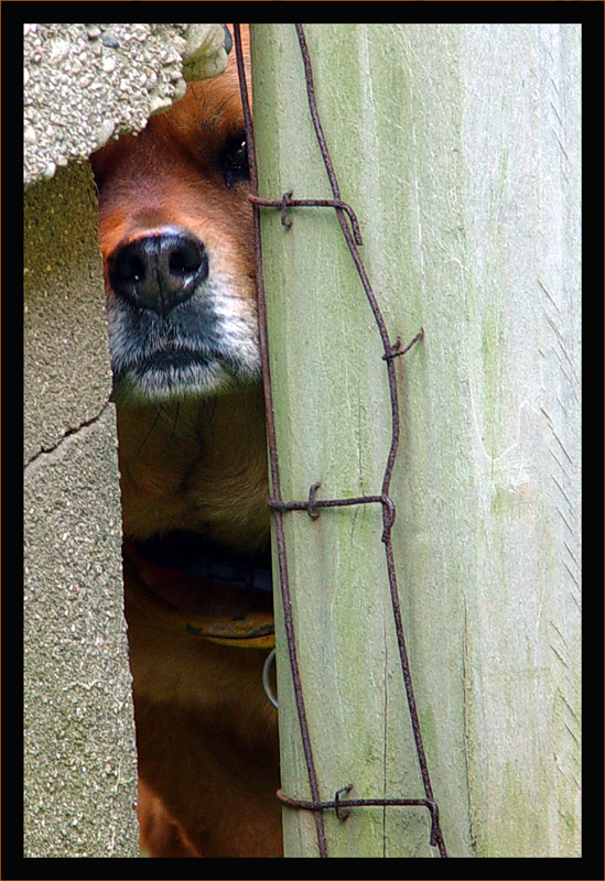Obstructed View*<br> by Deb