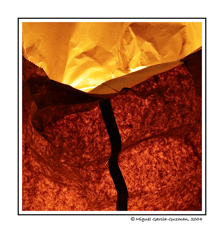 The Bag* by Miguel Garcia-Guzman