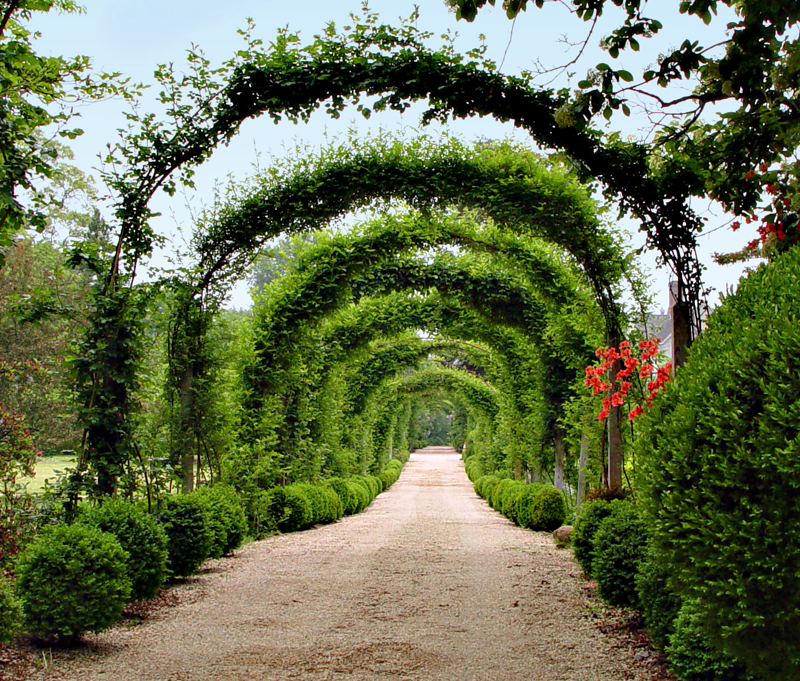 <b>10th (tie)</b><br>Down The Garden Path</B><br><font size=2> by Harry Behret