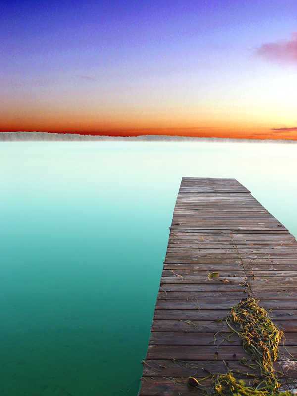 <b>10th (tie)</b><br>Into Our Depths