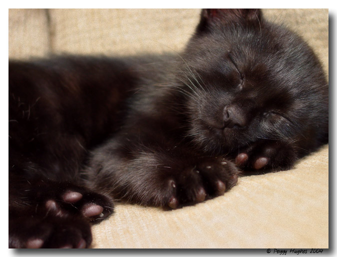 sleep
