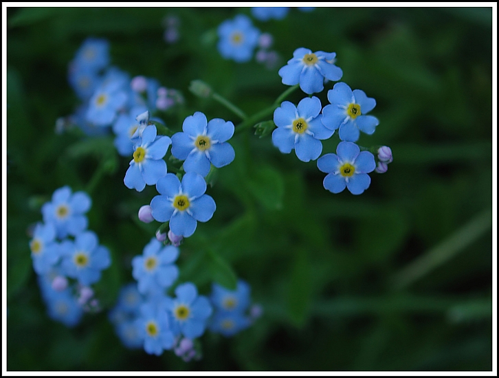 baby blue