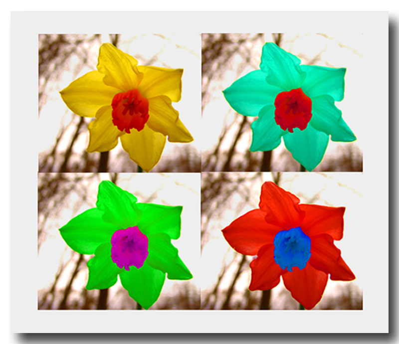 Choose your color<br>by Pete W