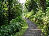 Arboretum Path