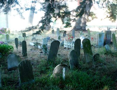 Pet Cemetery