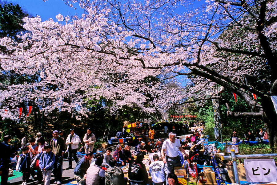 Ueno Park