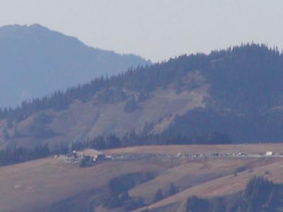 Hurricane Ridge - Olympic Mountains