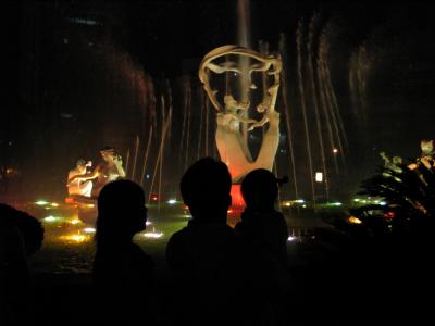 Night Fountain Show