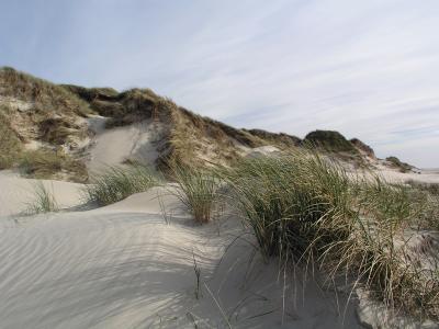 dune.jpg