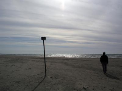 on_the_beach.jpg