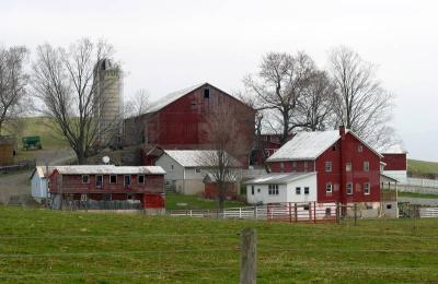 PA-Amish18 -- Farmstead
