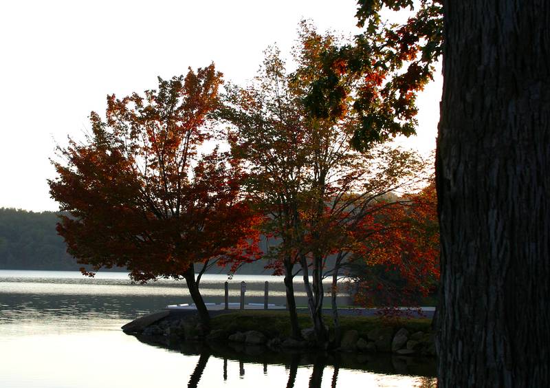 Fall 2003