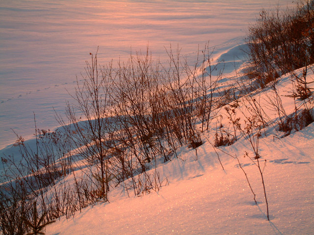 Pink Sunrise2