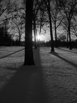 Snow & Shadows