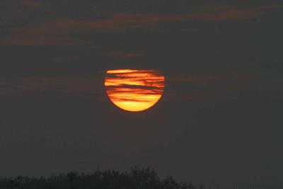 Thursday Sunrise.jpg