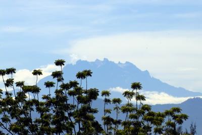 Other View of Mountain Kinabalu