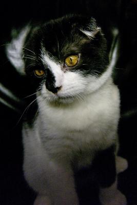 DSC_1185s.jpg