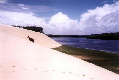 u45/teresa_vilhena/medium/29200569.lencoispb9.jpg