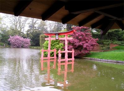 Japanese Garden