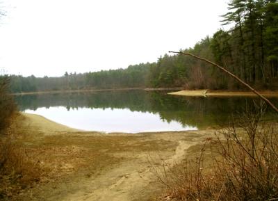 Pond near cabin site