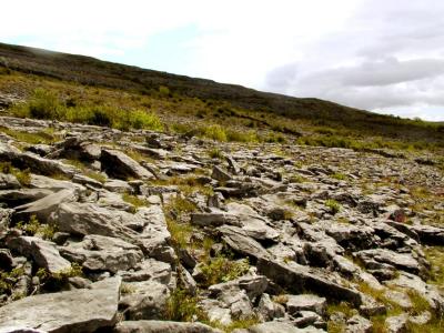 Burren hill