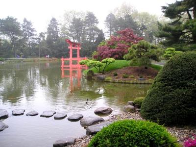 Brooklyn Botanical Japanese Gardens
