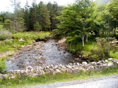 Mountain stream in Kerry