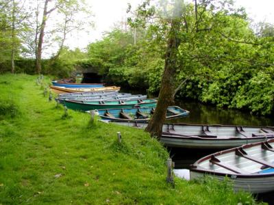 Killarney boat rentals