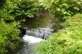 Dingle waterfall